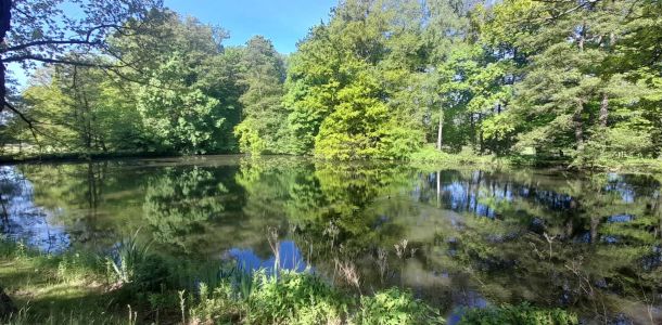 wanderung gruenfelder park.05.25